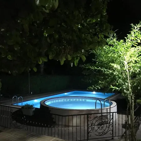 Antalya Wood Duacı