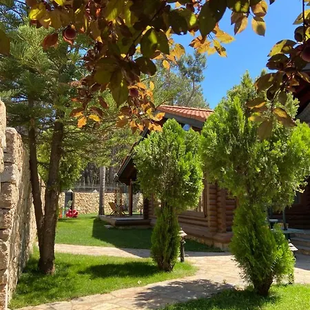 Antalya Wood Villa Duacı